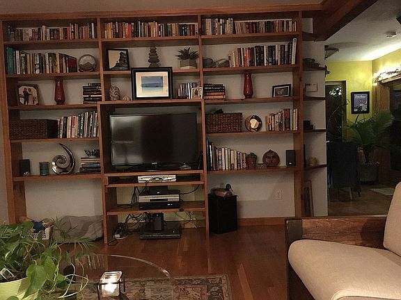 Living room custom shelves