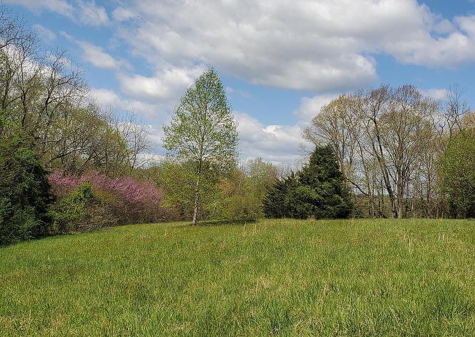 Image 1: : From front of lot looking toward lake