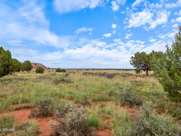 316 County Road 9211, Concho, AZ 85924