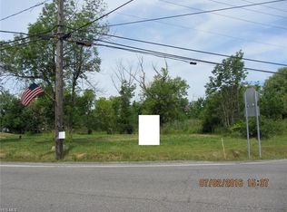 9696 Brakeman Rd, Chardon, OH 44024