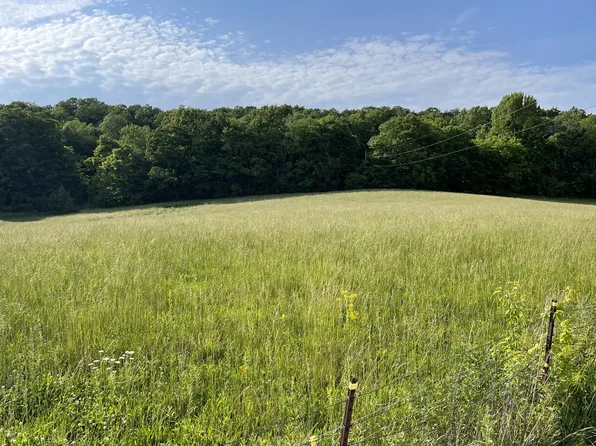 2217 Lemont And Yates Mountain Rd, Spencer, TN 38585