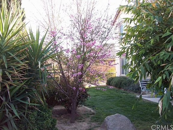 4th image of 998 Cornflower Dr