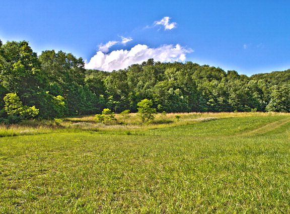 5th image of Tbd Cove Creek Road