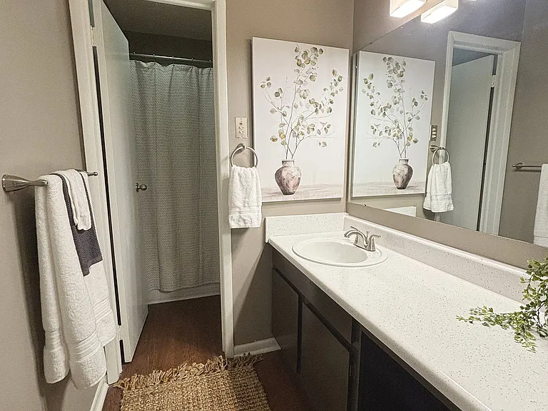 Hall Bathroom Hall Bathroom