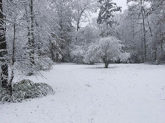 The yard after snow (2017)