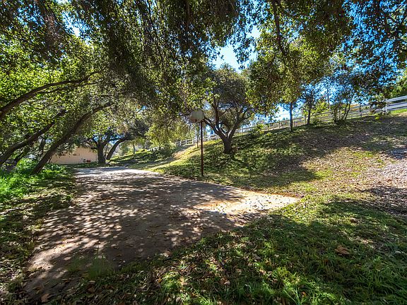 Mighty oaks, privacy abounds