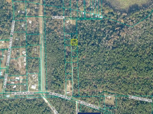 No Situs, Fort Mc Coy, FL 32134