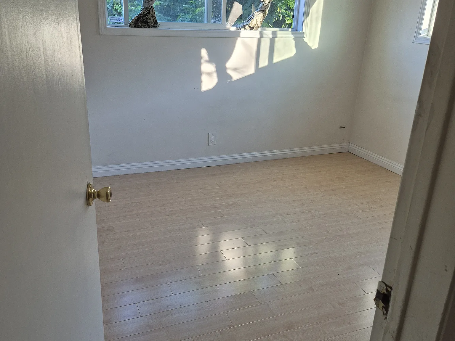 1 bed, 125 sqft, $800 — Photo 2