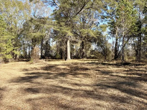 Cloverdale Rd, Greenville, AL 36037