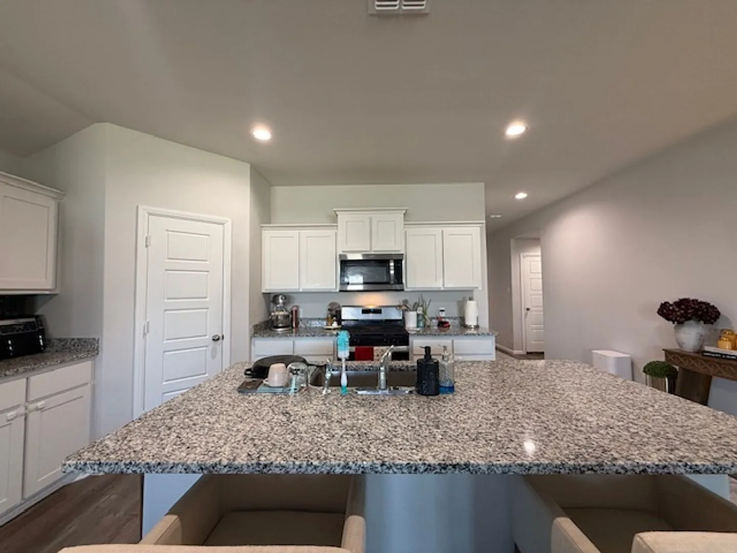 3036 Spring Break Drive — Photo 3