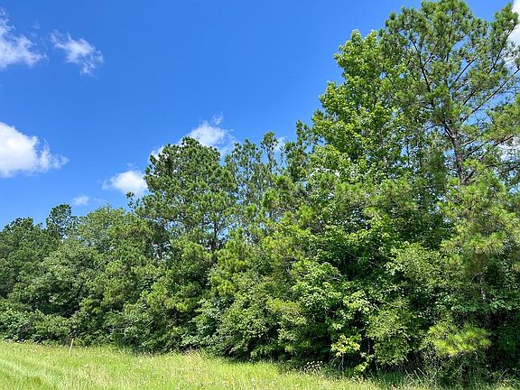 4th image of 12 Rec Rd #255