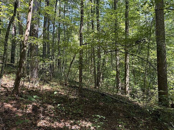 5th image of LOT 32 Mission Hill Rd