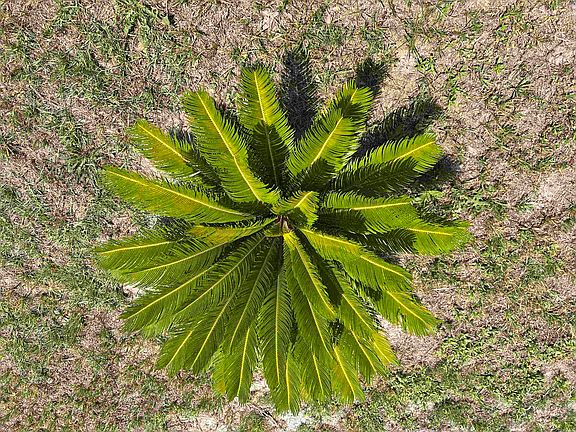 3rd image of 112 Village Ct.