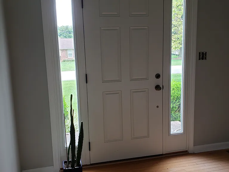 New front door & sidelites