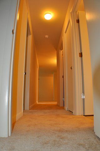 1st image of 313 Stevens Cir APT 2C