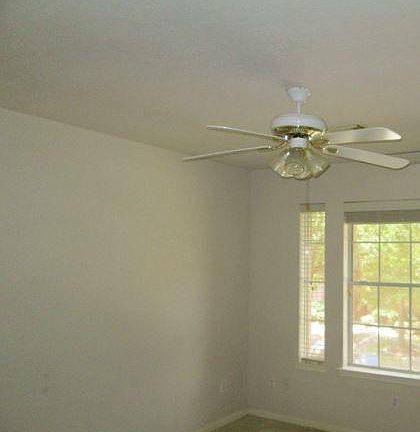 3rd image of 18614 Agile Pines Dr