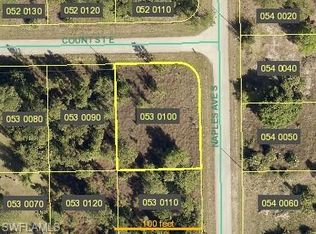 1252 Count St E, Lehigh Acres, FL 33974