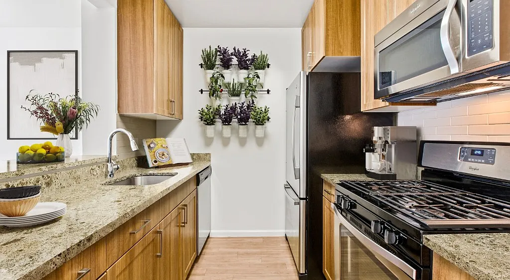 1 bed, 1.0 bath, 850 sqft, $4,540 — Photo 1