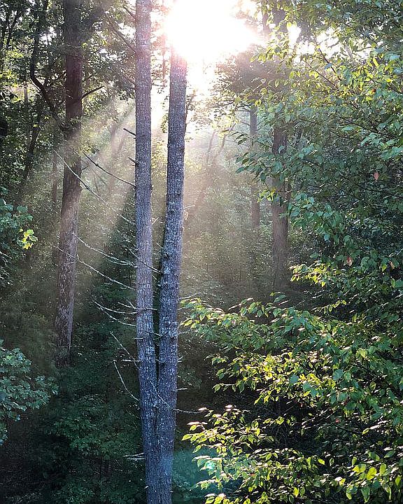 1st image of 395 Mill Creek Acres