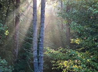 395 Mill Creek Acres, Blue Ridge, GA 30513