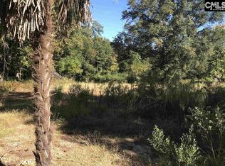 406 Lexington Ave, Chapin, SC 29036