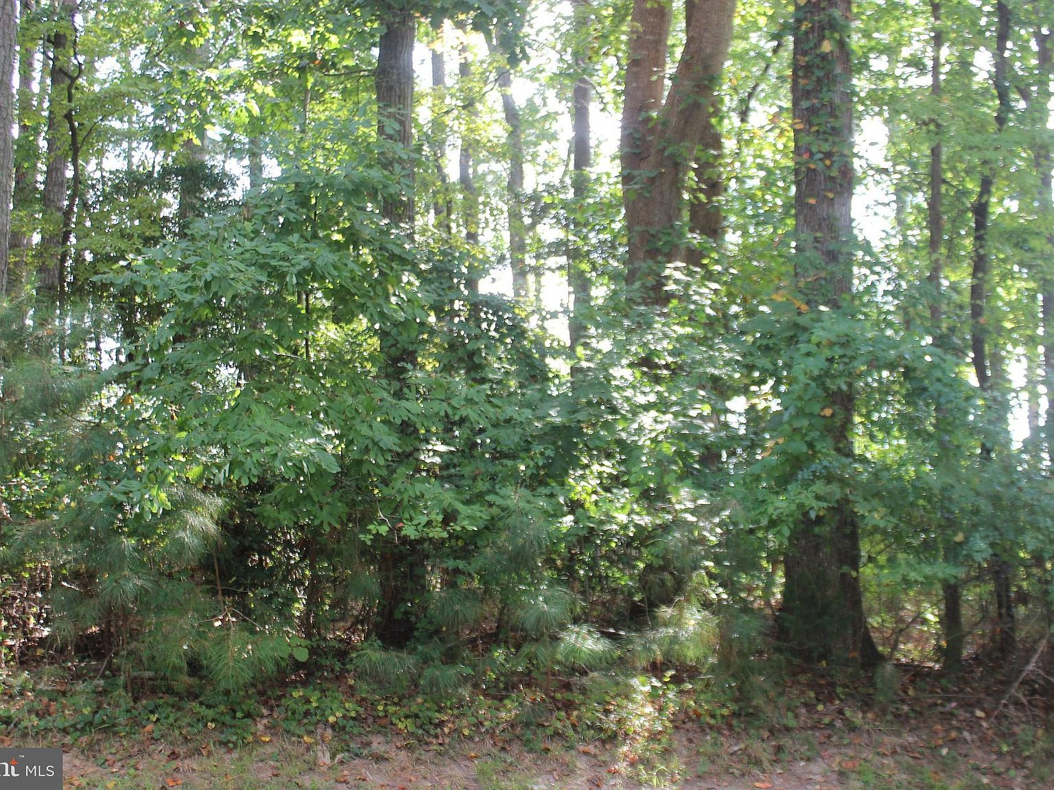 146 Captains Corridor