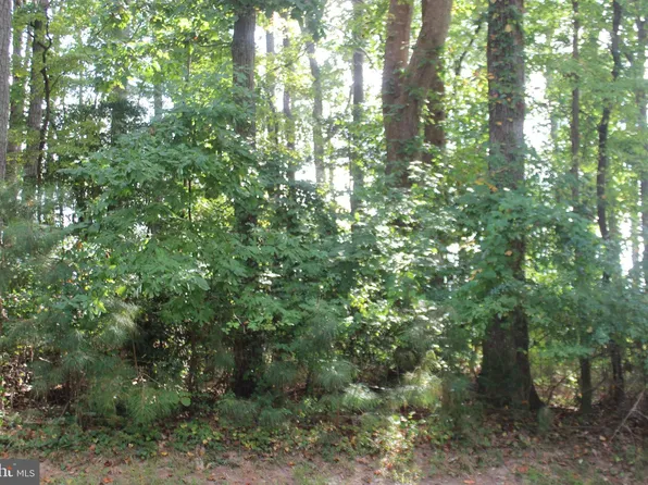 146 Captains Corridor, Greenbackville, VA 23356