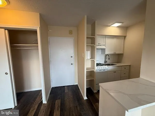 River West Condominium — Photo 2