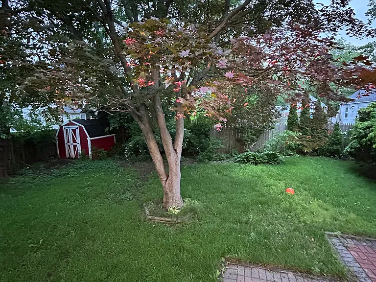 383 Jefferson Ave — Photo 14