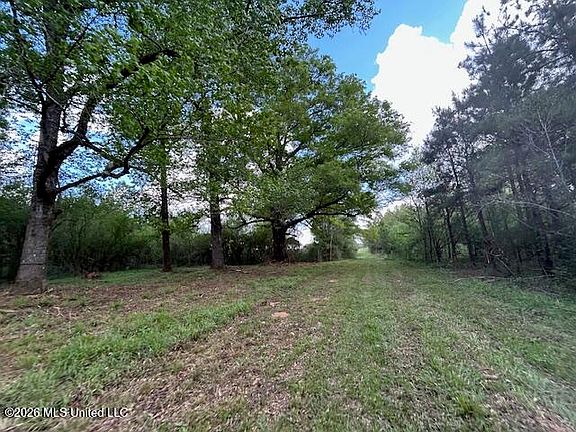 2nd image of Vaniel Holmes Rd