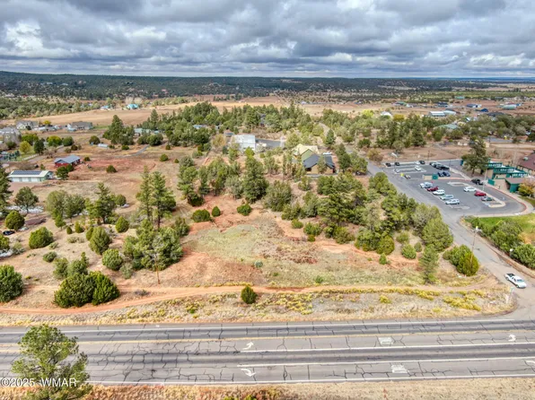 1016 School House Ln, Show Low, AZ 85901