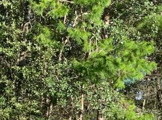 5304 S June Ter, Homosassa, FL 34446