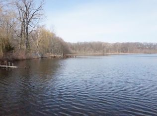 67 Cedar Lake Rd, Chelsea, MI 48118