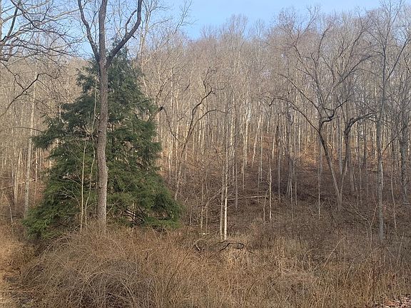 2nd image of 24356 Burgoon Rd