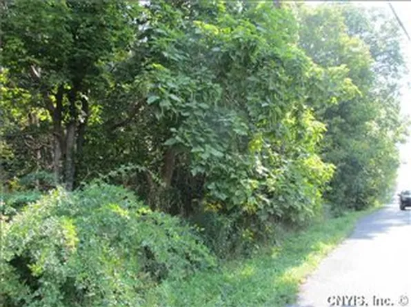 5698 Ike Dixon Rd, Camillus, NY 13031