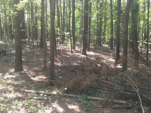 20 County Road 150 #O, Weogufka, AL 35183