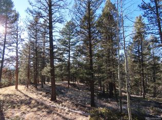 39 N Eldorado Cir, Florissant, CO 80816