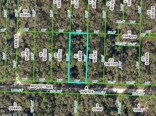 August Ave, Webster, FL 33597