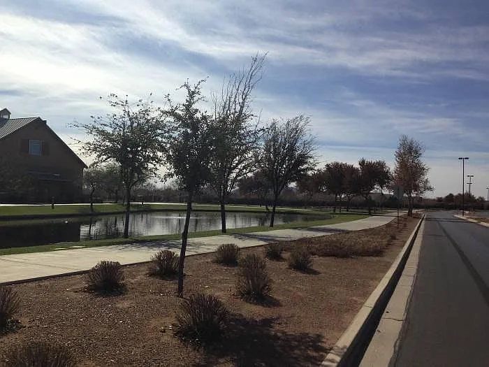 3907 S Marigold Way — Photo 31