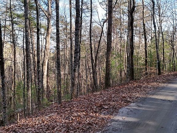 3rd image of Lot 1 Gold Valley Road