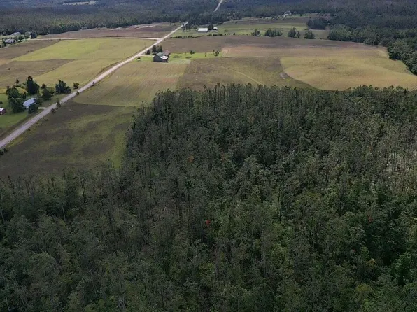 V/l 40ac Goslow Rd, Gaylord, MI 49735