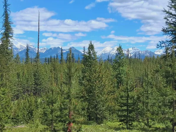 11532 N Fork Rd, Polebridge, MT 59928