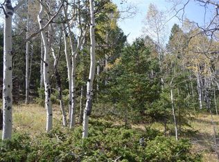 530 Stacker Dr, Hartsel, CO 80449