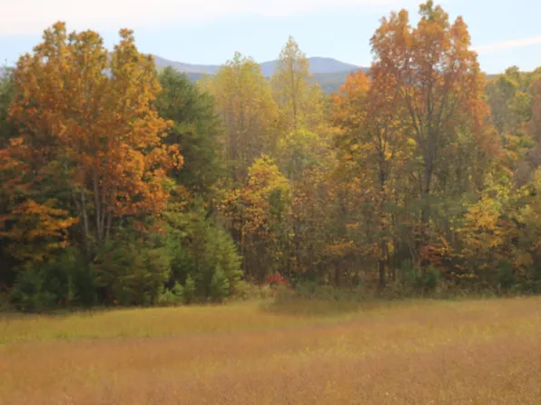 29 Ballplay Rd, Tellico Plains, TN 37385