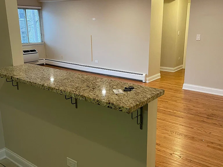 1 N Chestnut Ave #4D — Photo 5