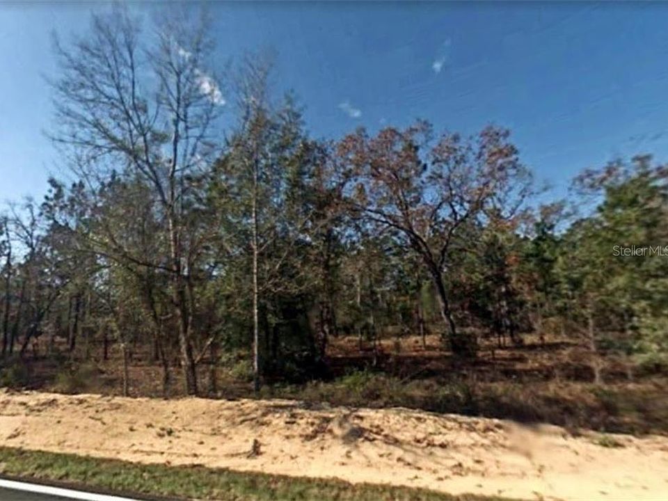 2nd image of 239 Baden Powell Rd