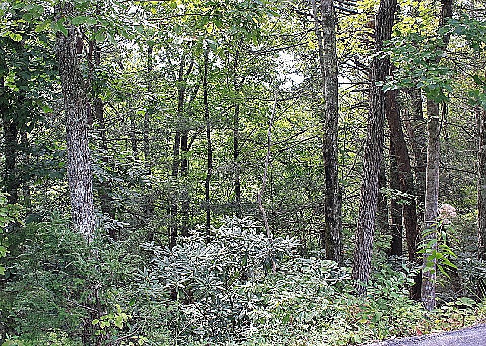 2nd image of Old Cartertown Rd