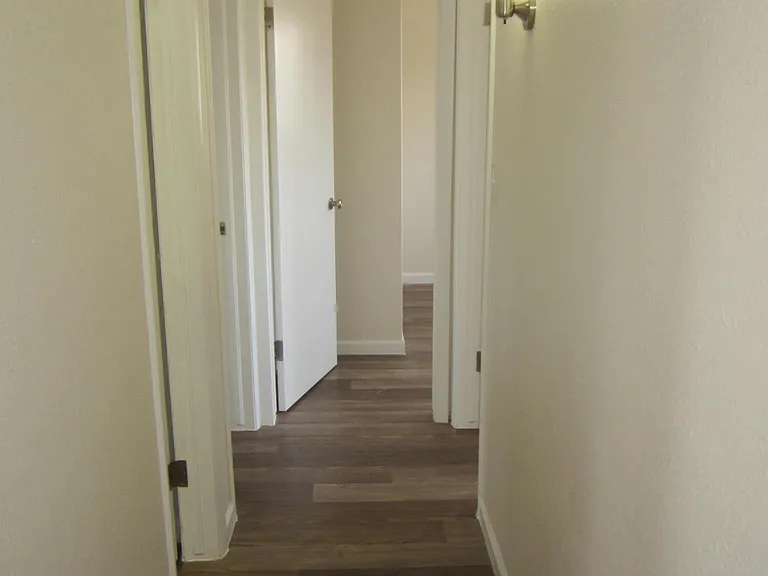305 Corvena Way — Photo 38