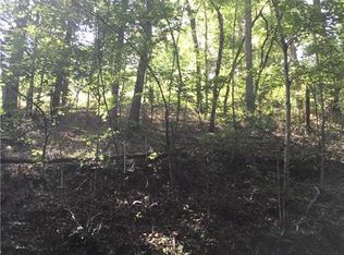 0 Pecks Mill Creek Rd, Dahlonega, GA 30533