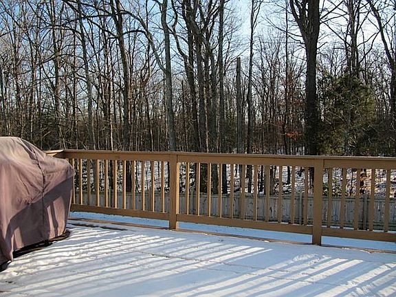 Deck in Winter #1